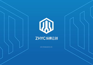 标志案例01 软件的开发历程